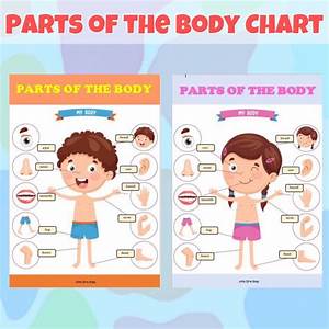 Parts Of The Body Charts For Kids And Babies Shopee Philippines