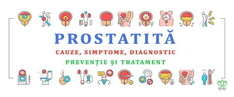 Prostatit Cauze Simptome Diagnostic Preven Ie I Tratament