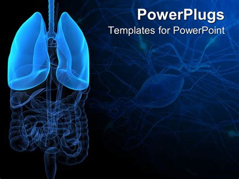 Powerpoint Template 3d Representation Of Lungs And Human Anatomy With