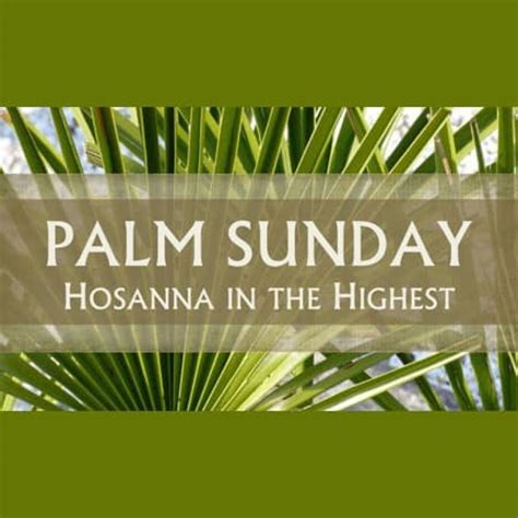 Palm Sunday Distribution Of Palms Cathedral Of St John