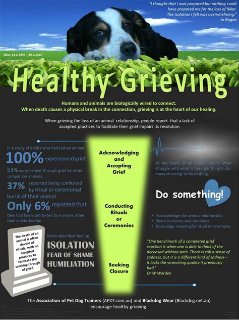 This is especially true when the pet owner has had the pet for a number of years or when the pet reminds us of a deceased loved one. 365 best DOG HEAVEN AND PET LOSS images on Pinterest ...