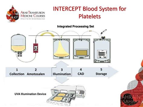 Ppt Quality Control And Pathogen Inactivation Of Platelets Powerpoint