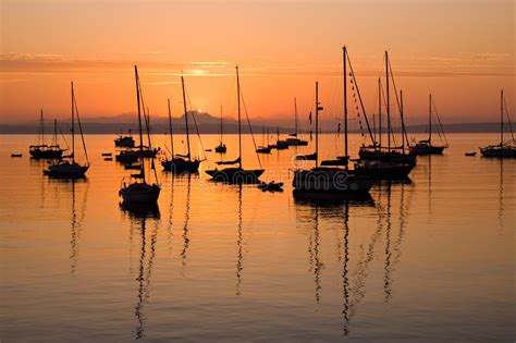 Sailboats At Sunrise In Port Townsend Bay Stock Photo Image Of Boats