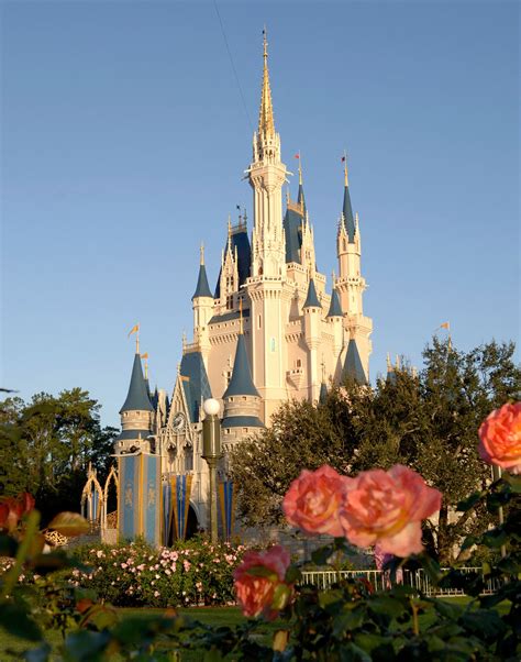 Share photos and videos, send messages and get updates. Roses at Walt Disney World Resort « Disney Parks Blog