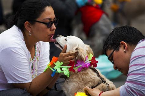 In Photos Kukur Tihar Sharing The Bond Between Man And Dog In Mexico