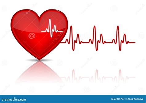 Corazón Con El Latido Del Corazón Electrocardiograma Ilustración Del