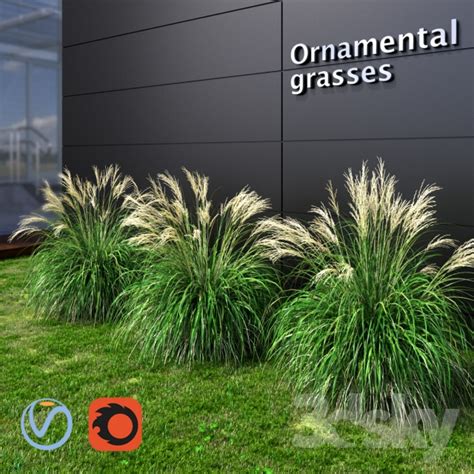 Download 44,164 spring flowers grass stock illustrations, vectors & clipart for free or amazingly low rates! 3d models: Grass - Ornamental grass Miscanthus small