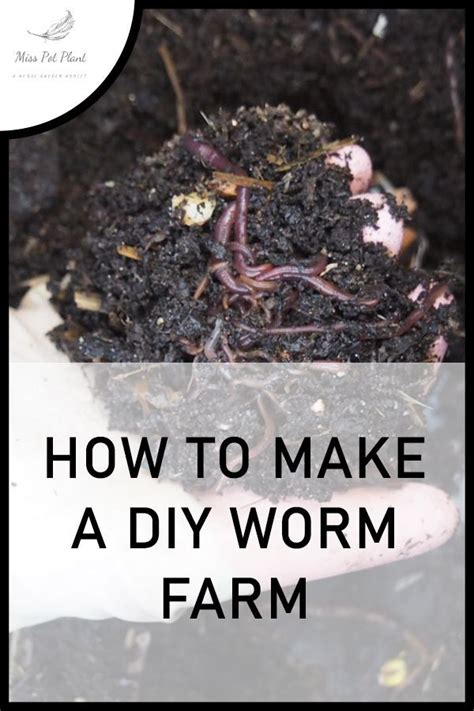 How To Make A Diy Worm Farm Gardening For Beginners Gardening Ideas