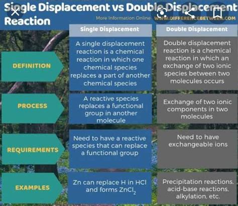 What Is Difference Between Displacement And Double Displacement