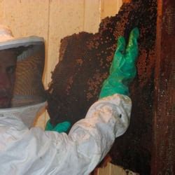 How can i contact university termite & pest control, inc? University Termite & Pest Control - 13 Photos - Pest ...