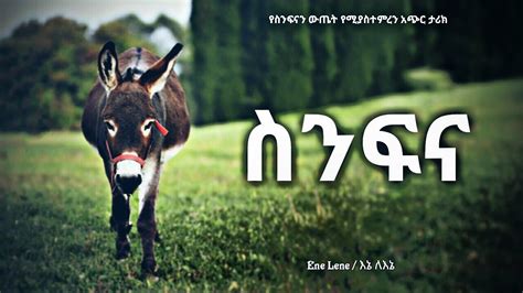 የስንፍና የመጀመርያው ተጠቂ ራሱ ባለቤቱ ነው The Lazy Donkeys Short Story Enelene L