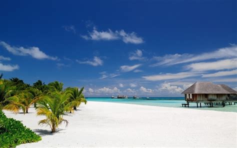 1920x1200 nature landscape beach maldives palm trees sand tropical resort sea summer bungalow