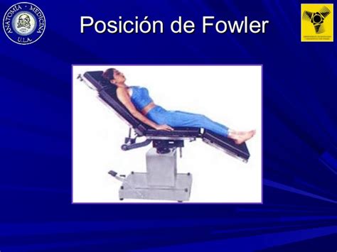 Soy nuevo y no encuentro el libro; Libro Posiciones Radiologicas Bontrager Pdf Gratis ...
