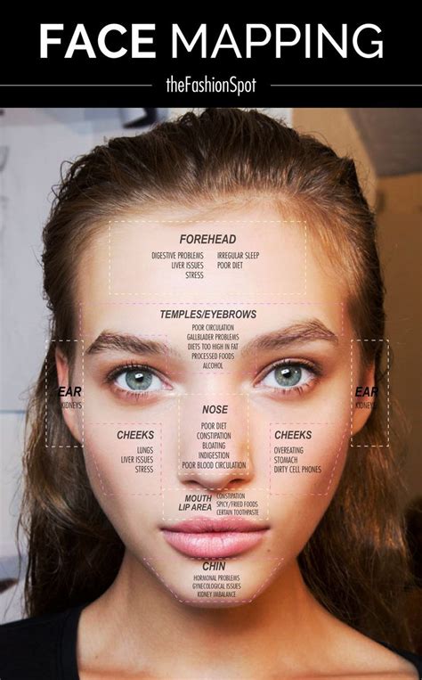 From pimples on your chin to breakouts on your forehead and spots on your back, what is your skin what do spots on your hairline mean? Face Mapping Your Acne | Face mapping, Face and Bikini fitness