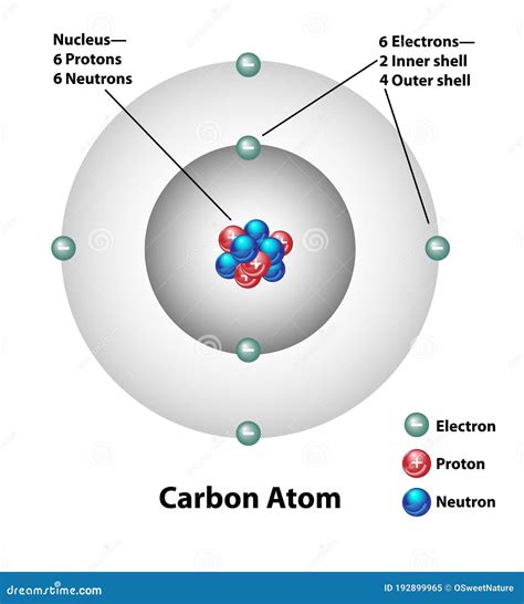 Draw And Label A Carbon Atom My Xxx Hot Girl
