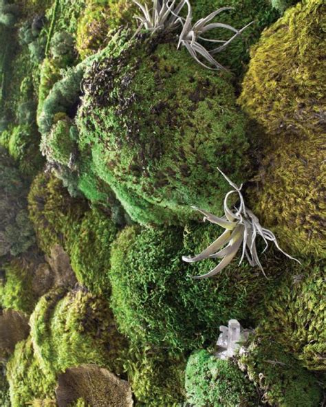You'll have a custom green wall, created all by you! How to Make a Faux Living Moss Wall | HGTV