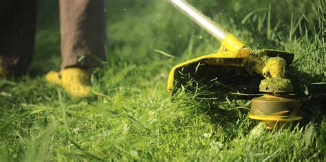 Shop for lawn care pest control online at target. 16 Best Cape Coral Lawn Service Companies | Expertise