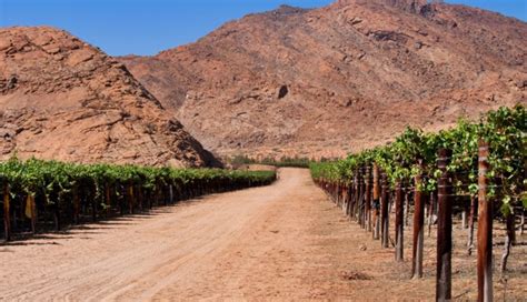 25 Best Small Tourist Towns In South Africa That Are ...