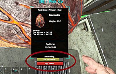 Does anyone have any idea how many air conditioners are needed to incubate a wyvern eggs, and can you recommend a good way of organising then. Stealing and Hatching Wyvern Eggs in ARK's Scorched Earth ...