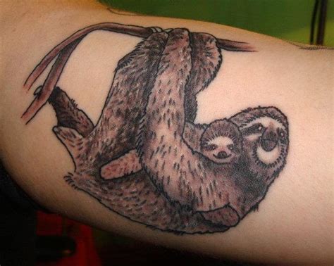 Sloth Tattoo Tattoos Gallery Animal Tattoo