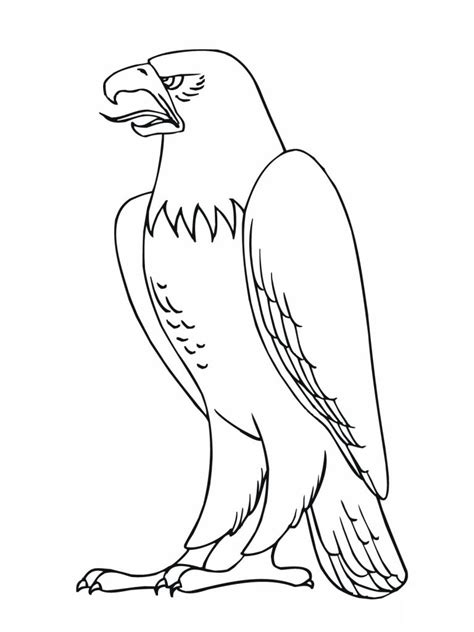 It is a large bird with a wingspan of almost 7 feet. Free Printable Bald Eagle Coloring Pages For Kids