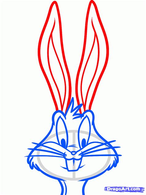 Find best images of bunny face draw with various style, size and color. How to Draw Bugs Bunny Easy, Step by Step, Cartoon Network Characters, Cartoons, Draw Cartoon ...