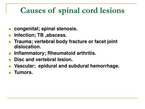 Ppt Spinal Cord Lesions Powerpoint Presentation Id407568