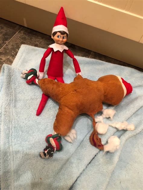 16 hilarious elf on the shelf ideas to try this december belfast live