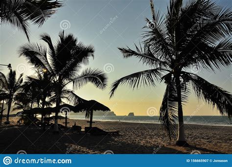 Palmeras En La Playa Imagen De Archivo Imagen De Verano 156665907