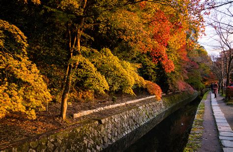 Japan Fall Colors And Autumn Foliage Guide Travel Caffeine
