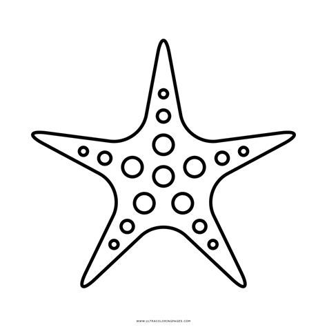 Dibujos De Estrellas De Mar Para Colorear Estrellas De Mar Png Clipart