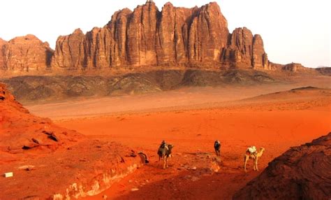 It was directed by david lean and produced by sam spiegel through his british company horizon pictures, with the screenplay by robert bolt and michael wilson. Lawrence of Arabia Wiki | Info Lawrence of Arabia | Wadi ...