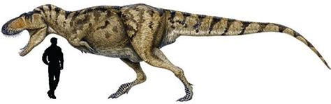 Sciencuriosities Los 10 Grandes Dinosaurios Carnívoros De Todos Los