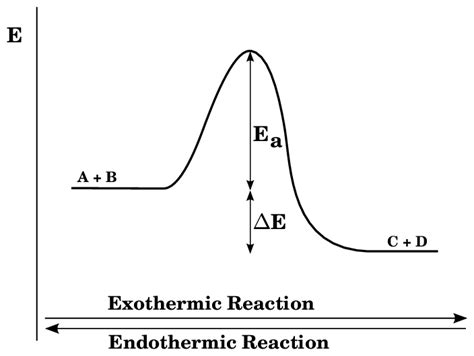 Exothermic Reaction Energy Graph