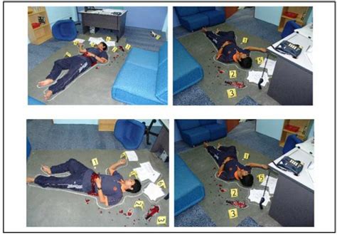 Example Of Images Of Crime Scene Simulation Download Scientific Diagram