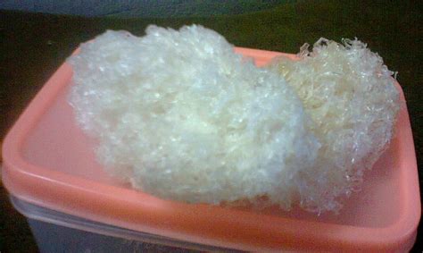 Khasiat pemakanan sarang burung walet ikuti kisah selanjunya di www.waletwalit.com. MUTIARA BIRD'S NEST: Khasiat sarang burung layang-layang