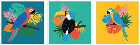 Prints Digital Prints Tropical Bird Art Canvas Canvas Tropical Birds