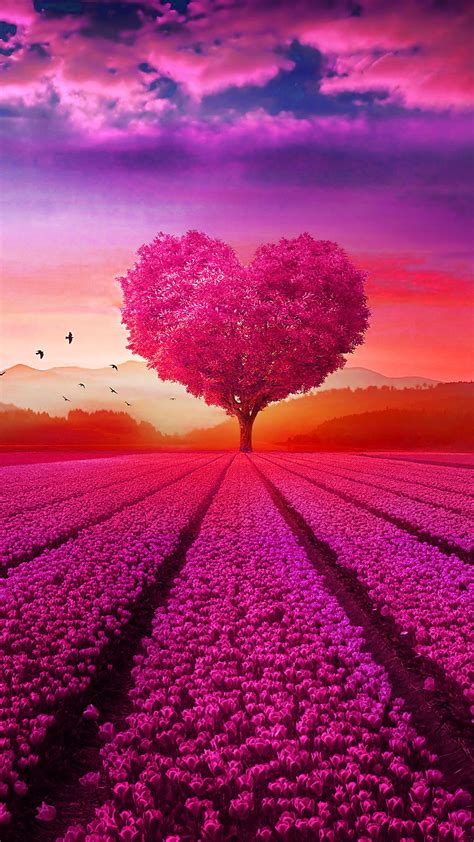 Love With Nature Wallpaper Aesthetic Wallpapers