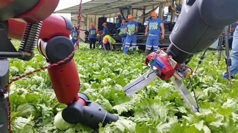 No Longer A Sci Fi Concept Intensive Agriculture Can Use Robotics