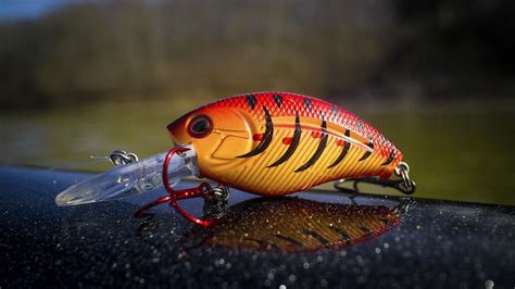 This rig is weedless but it allows you to fish a worm faster through a larger horizontal area like a ledge, a flat, a weedline we've also heard of anglers attaching a jig as the bottom weight to give the fish two different baits to look at. 5 Bass Fishing Rigs Every Angler Should Know #bassfishing ...