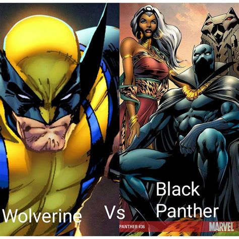 Wolverine Vs Black Panther Comics Amino