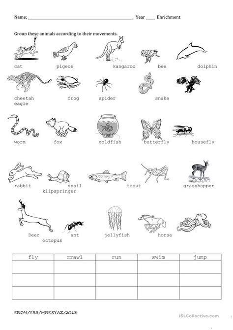 animal movements worksheet  esl printable worksheets   teachers
