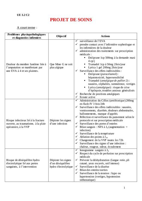 Exemple De Protocole De Soins