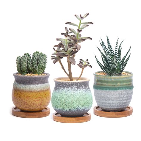 Set 3 T4U Ceramic Succulent Cactus Planter Plant Flower ... Long rectangle white ceramic succulent planter pots 8.