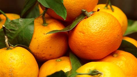Mandarinen An Diesen Zeichen Erkennen Sie Dass Die Frucht Frisch Ist Sternde