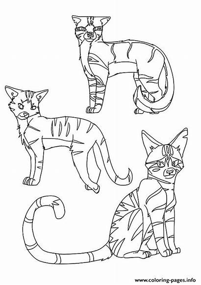Warrior Coloring Pages Cat Cats Clan Printable