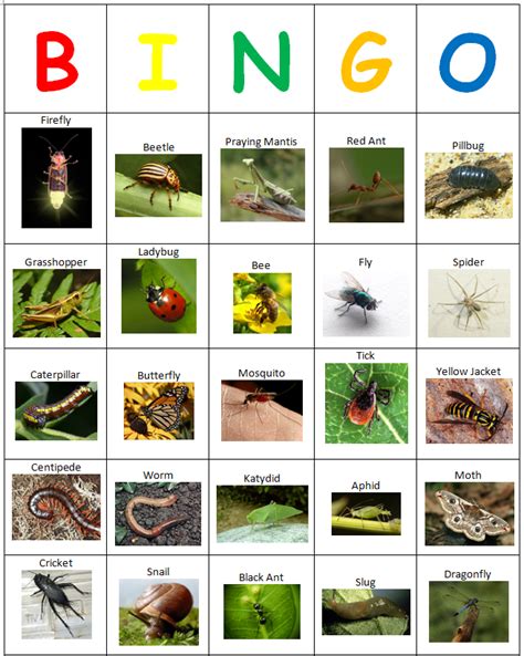 Free Printable Bug Bingo Printable