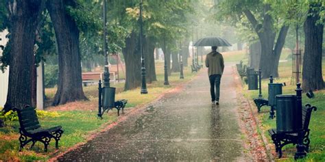Rainy Day In The Park Man Walking With Umbrella Under The Rain Rain