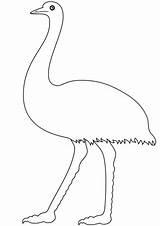 Emu Coloring Printable Walking Pages Categories sketch template