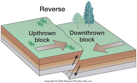 In Which Direction Does A Reverse Fault Cause The Land To Move